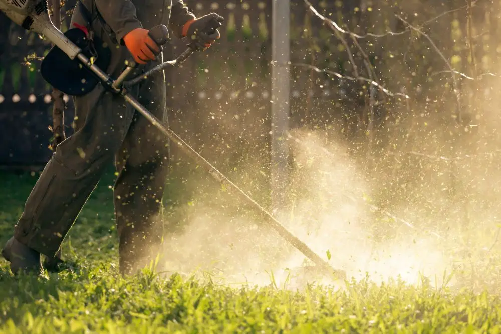 Lawn Mover On Green Grass Machine For Cutting Lawn LLUZNSS