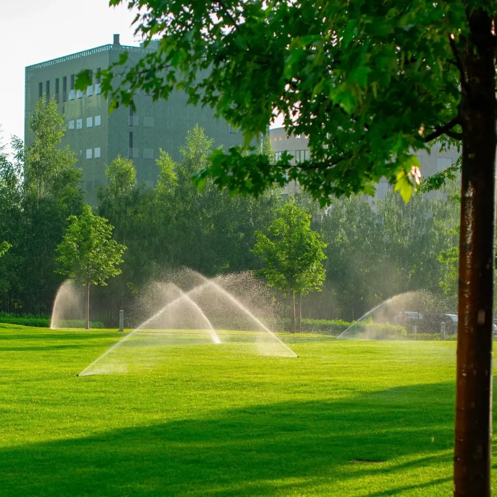 Lawn With Automatic Watering System 82SUFNA 1024x1024