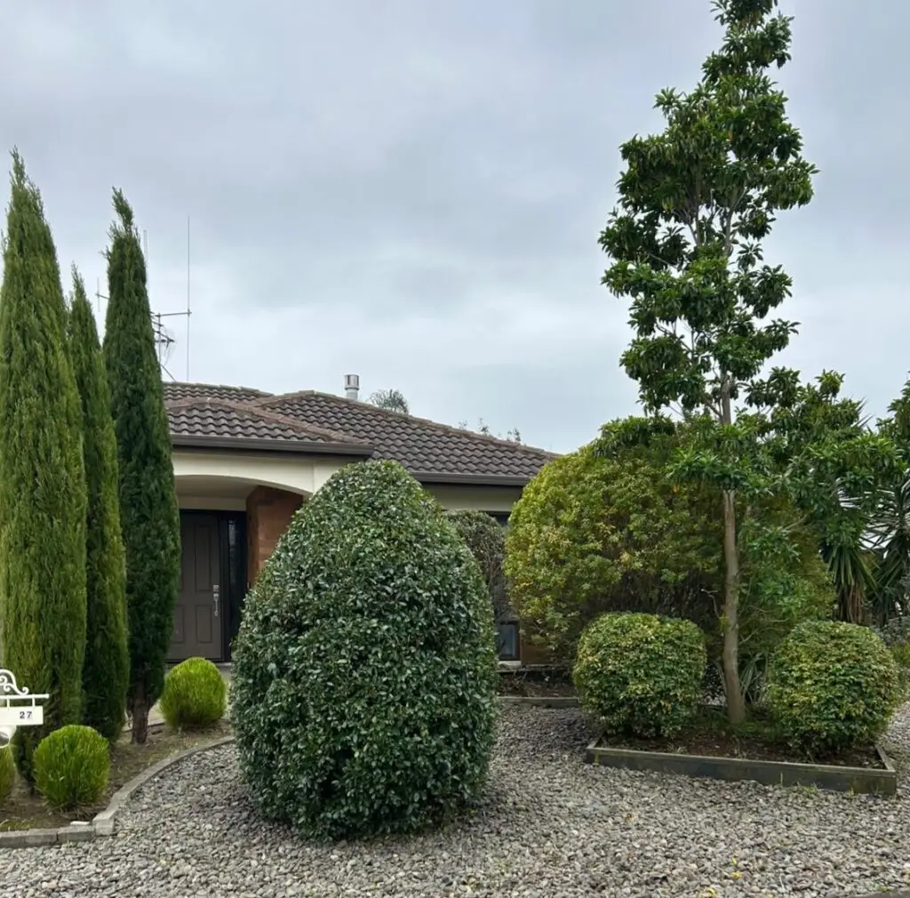 topiary cropped pic