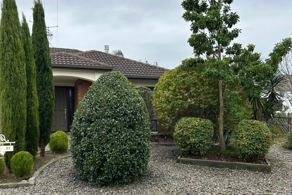Papamoa Beach topiary after