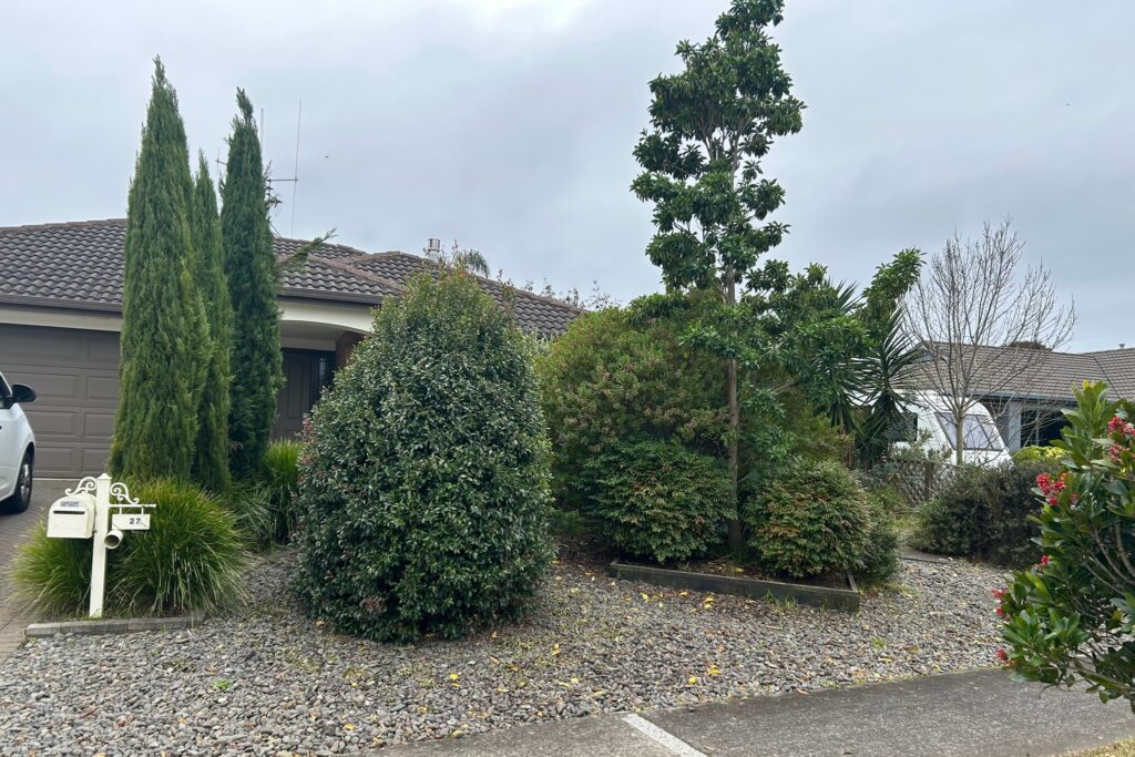 Papamoa Beach topiary before