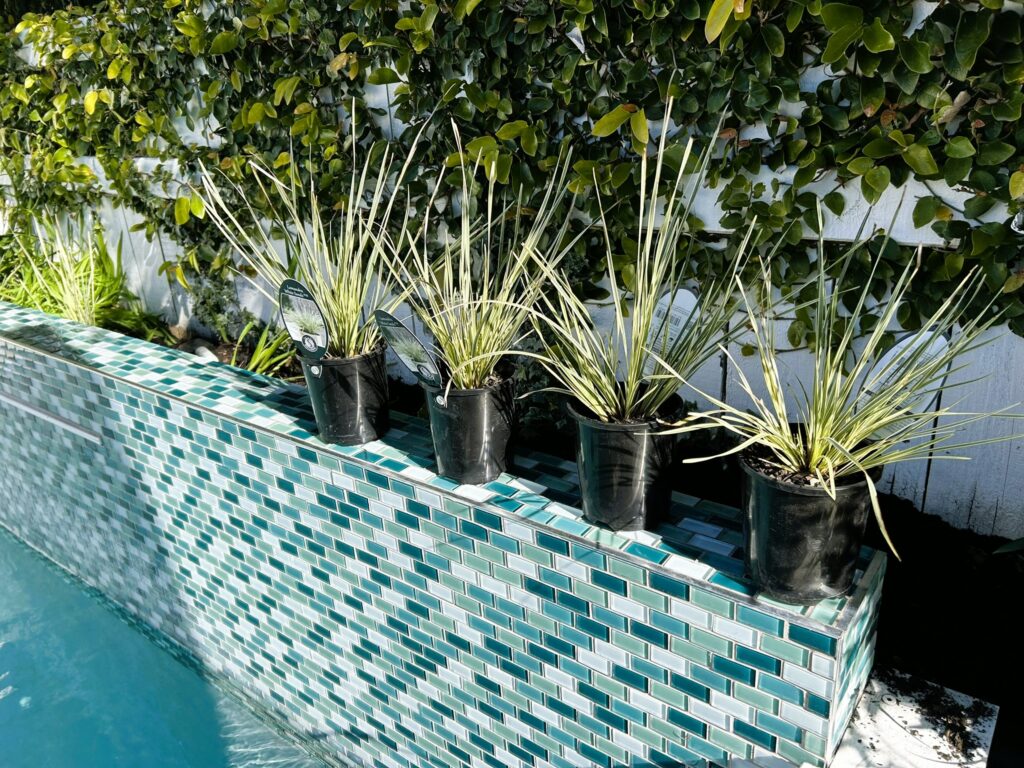 planting