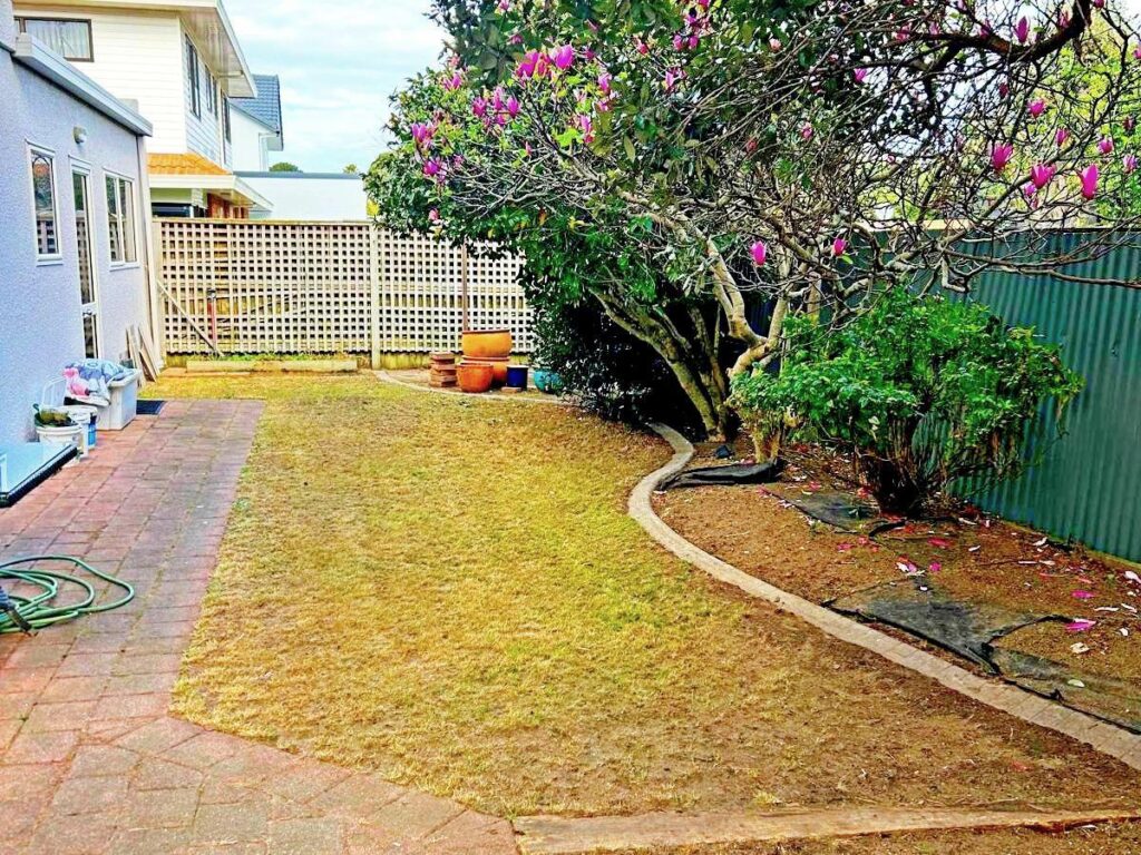Mount Maunganui weeding lawn mowing tree trimming