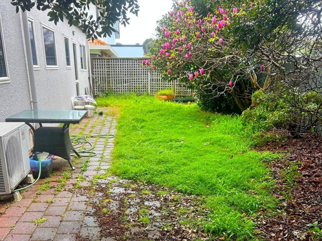 Mount Maunganui weeding lawn mowing tree trimming